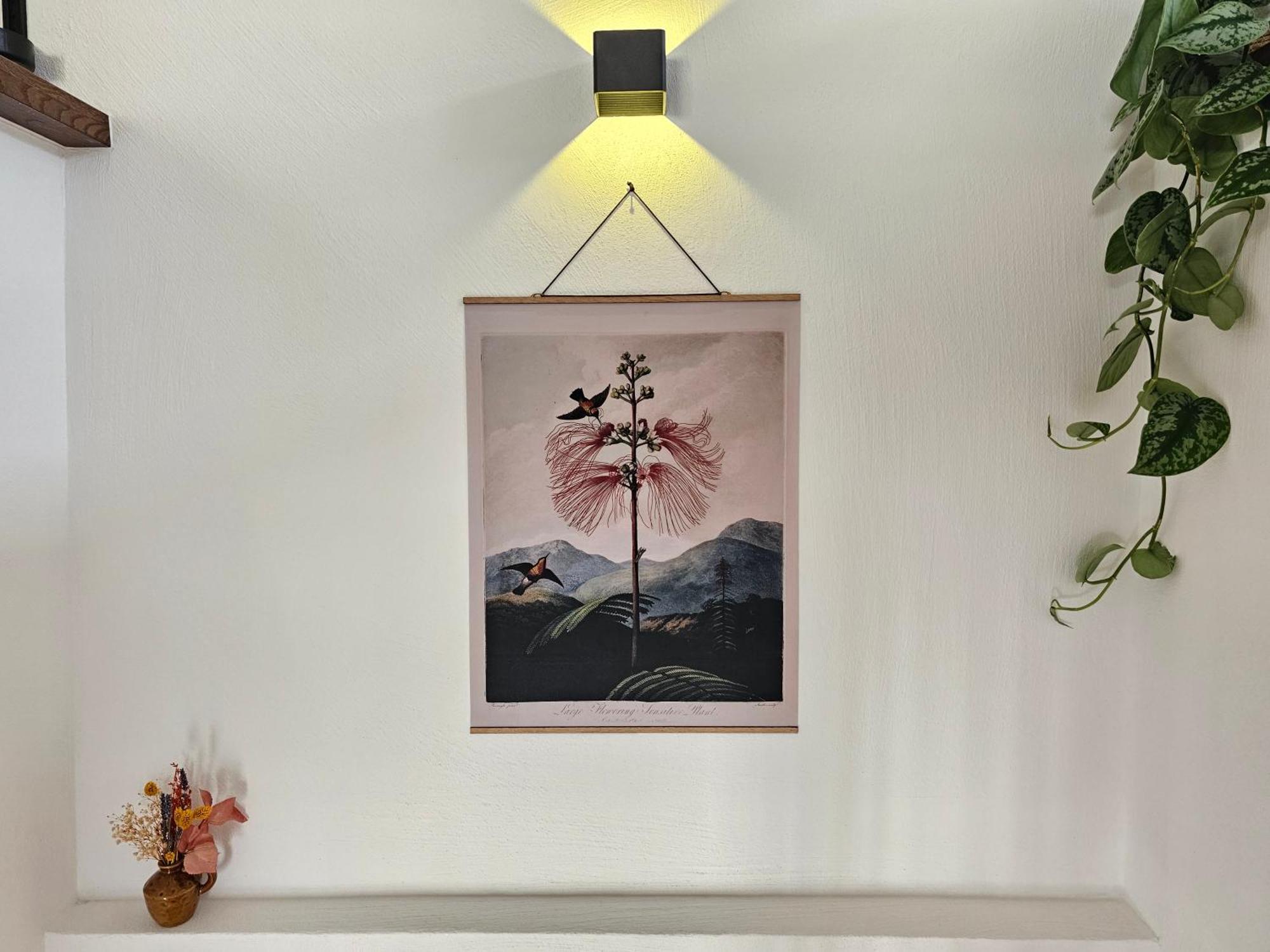 Kolibri - Design Maisonette - Nintendo Switch, Streaming, Bikestore, E-Wallbox Marburg Zewnętrze zdjęcie